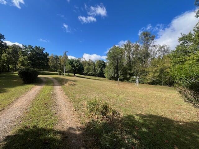 23875 Mathias Road South Bloomingville, OH 43152 - Photo 28 of 89 thumbnail_IMG_8833