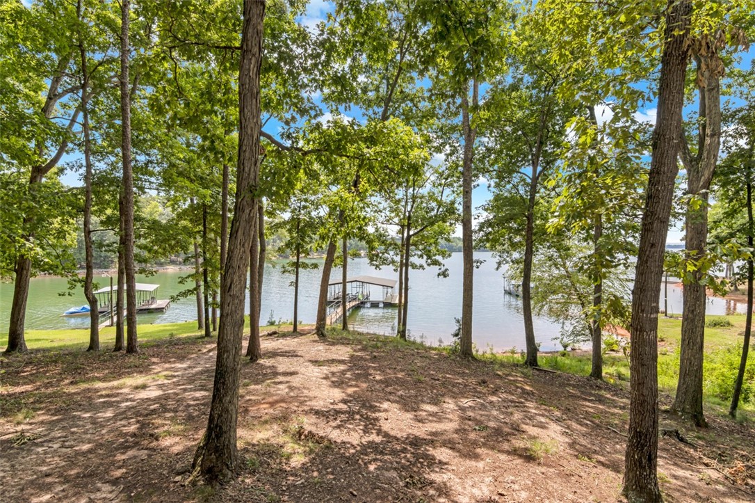 137 Whitaker Road Townville, SC 29689 - Photo 17 of 34 Gallery Image 17