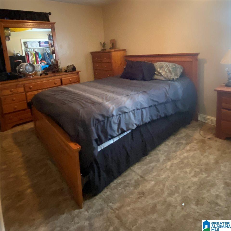 60 Payne Road Empire, AL 35063 - Photo 12 of 17