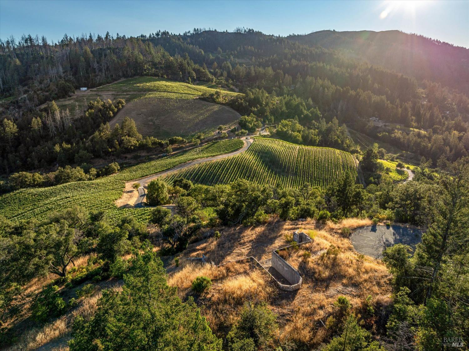 2340 Mt Veeder Road Napa, CA 94558 - Photo 8 of 38