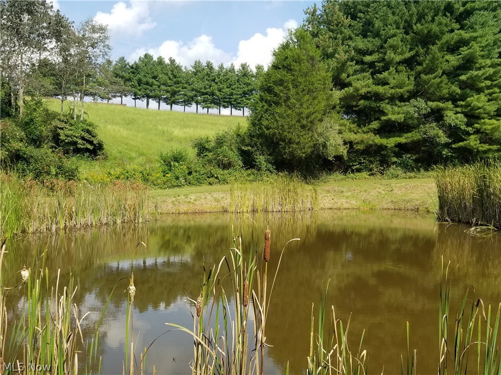 275 Windy Ridge Road Vincent, OH 45784 - Photo 33 of 35 Gallery Image 33