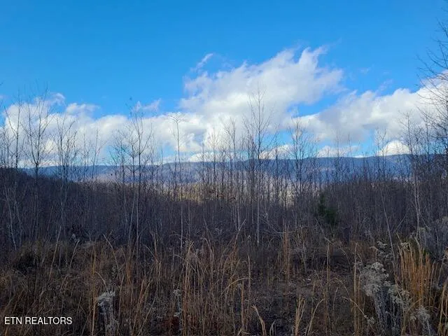 $49,000 | Dooley Hollow Road, Ewing, VA 24248