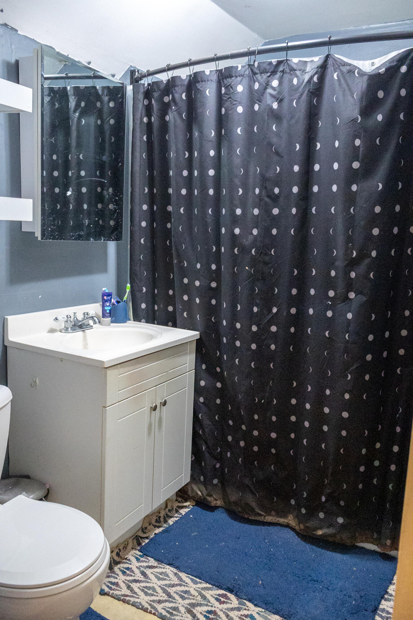 334 Franklin Street Chesterton, IN 46304 - Photo 11 of 20 a bathroom with a sink a toilet and shower
