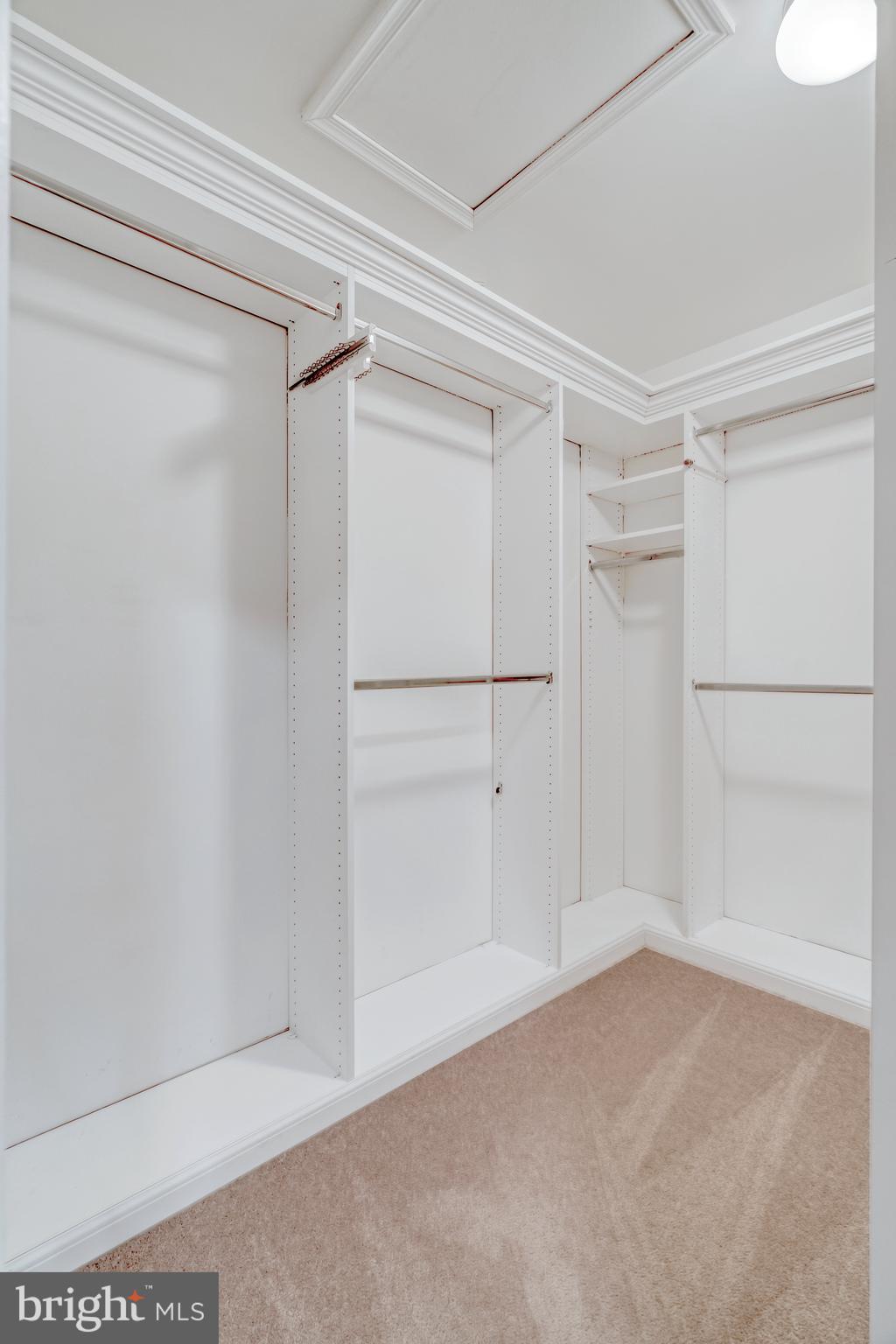 1220 Wild Hawthorn Way Reston, VA 20194 - Photo 20 of 52 Primary Bedroom: Walk-in Closet