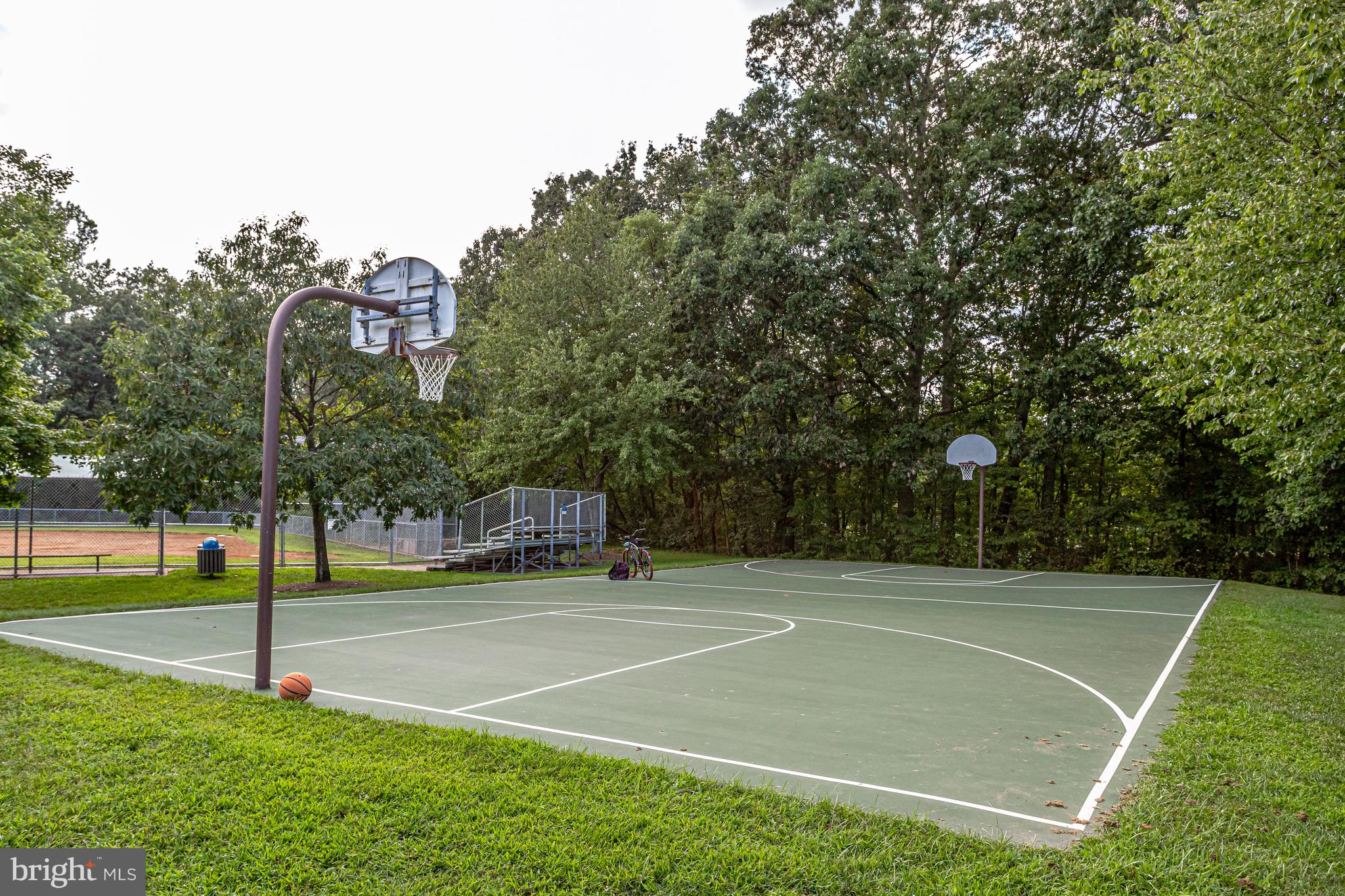 1220 Wild Hawthorn Way Reston, VA 20194 - Photo 38 of 52 Community: Basketball Court