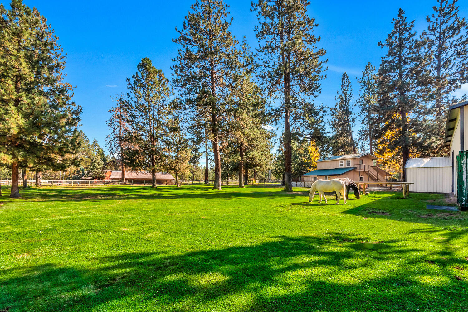 15630 Trapper Point Road Sisters, OR 97759 - Photo 60 of 67 61