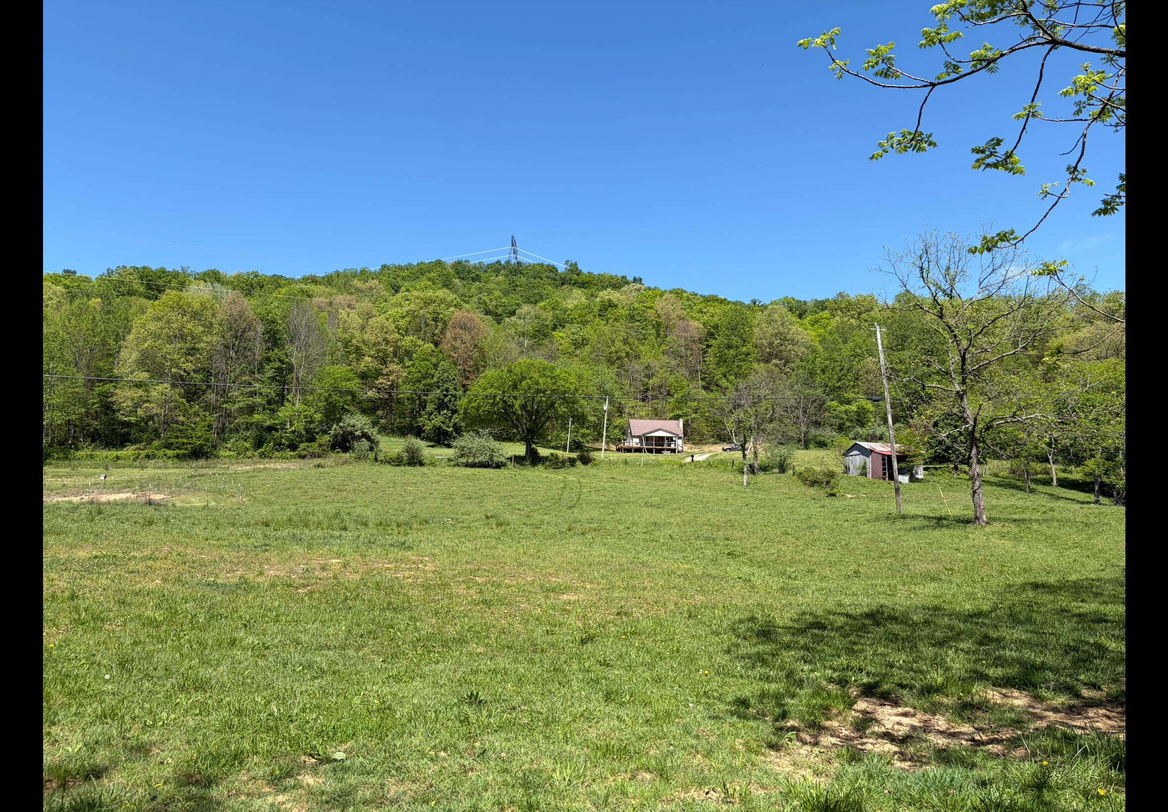 1568 Quicks Run Road Vanceburg, KY 41179 - Photo 8 of 49 IMG_8167