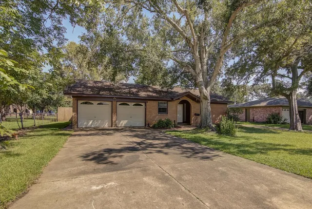 a big tree in middle of the green field