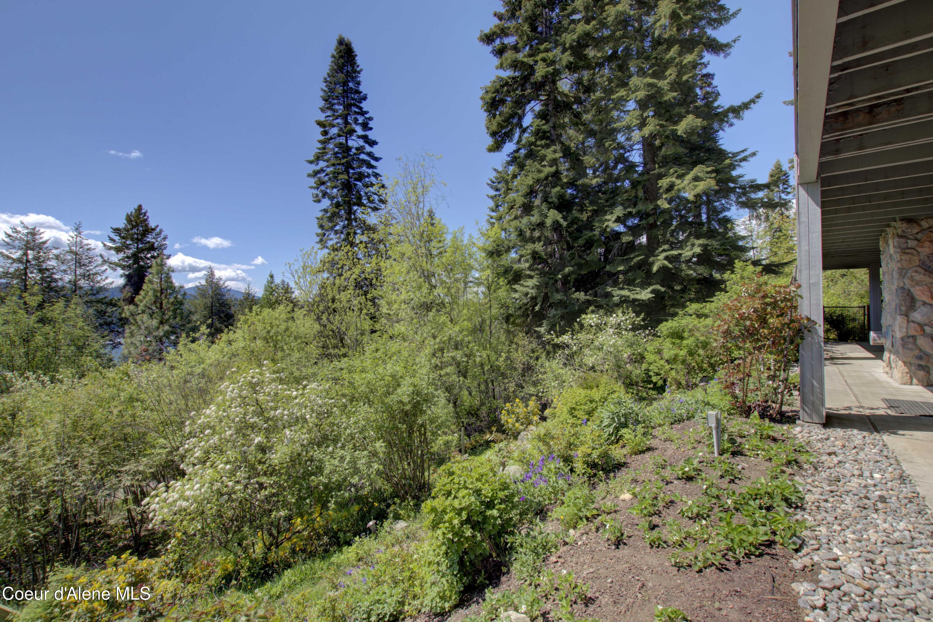 17718 East Cape Horn Road Bayview, ID 83803 - Photo 42 of 61 Yard 2