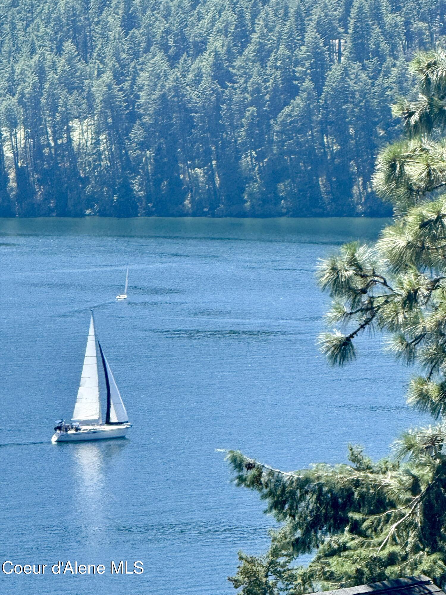 17718 East Cape Horn Road Bayview, ID 83803 - Photo 56 of 61 Boat on Lake