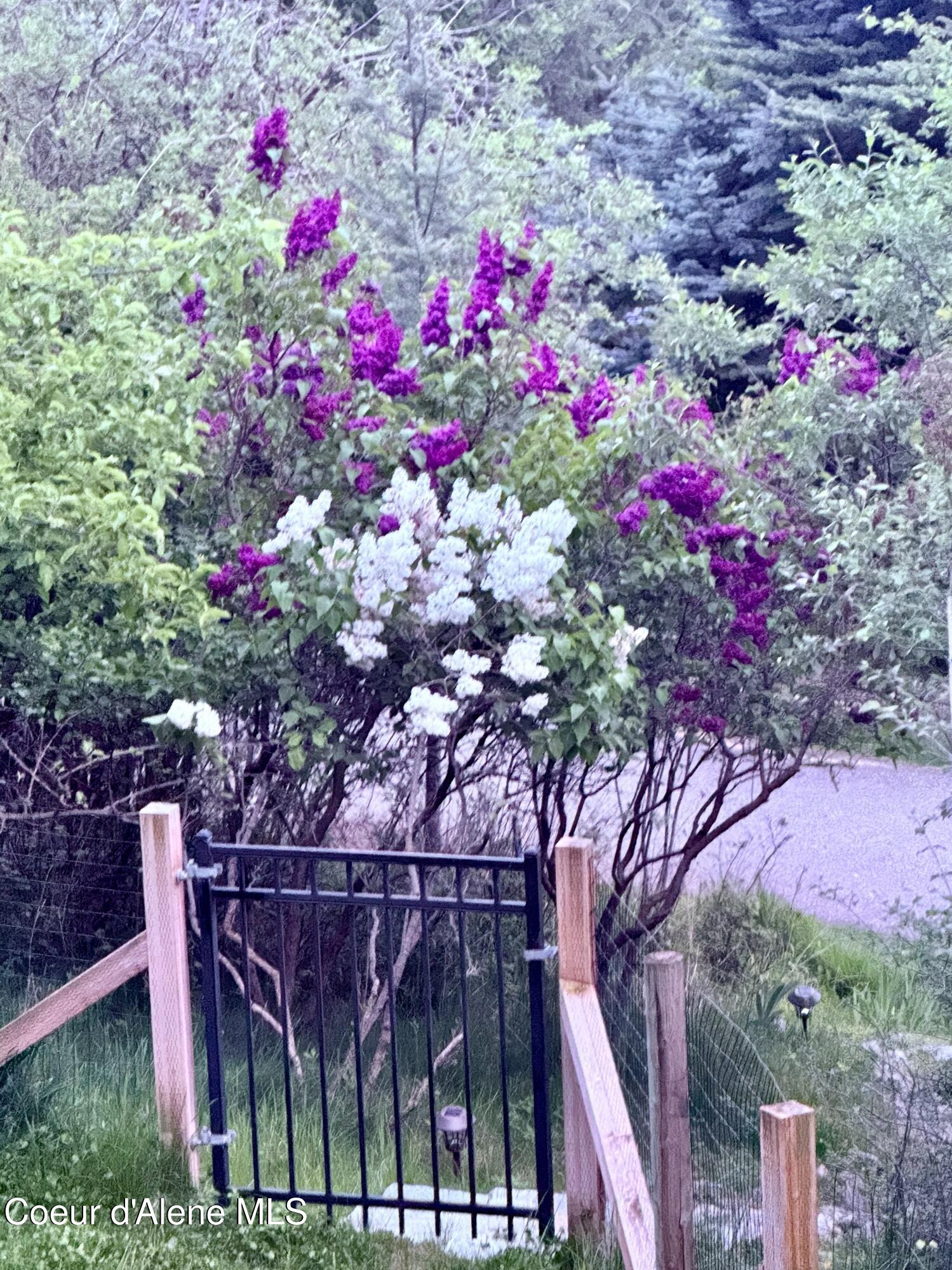 17718 East Cape Horn Road Bayview, ID 83803 - Photo 60 of 61 Garden