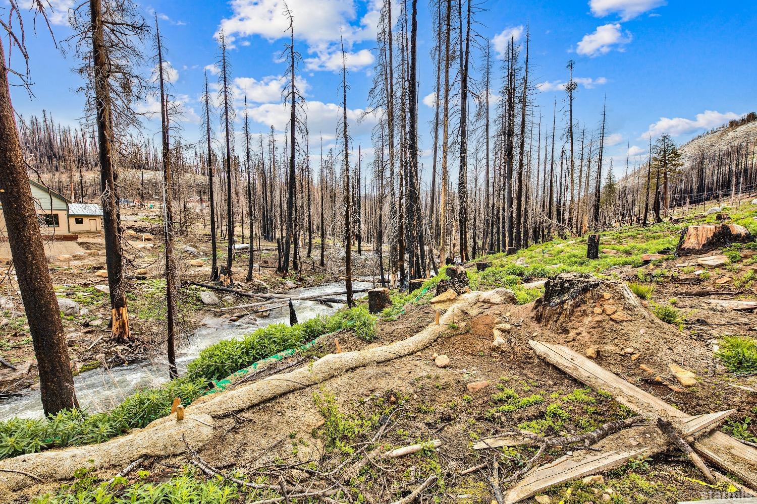 19852 Highway 50 Twin Bridges, CA 95735 - Photo 11 of 16 a row of yard with outdoor seating