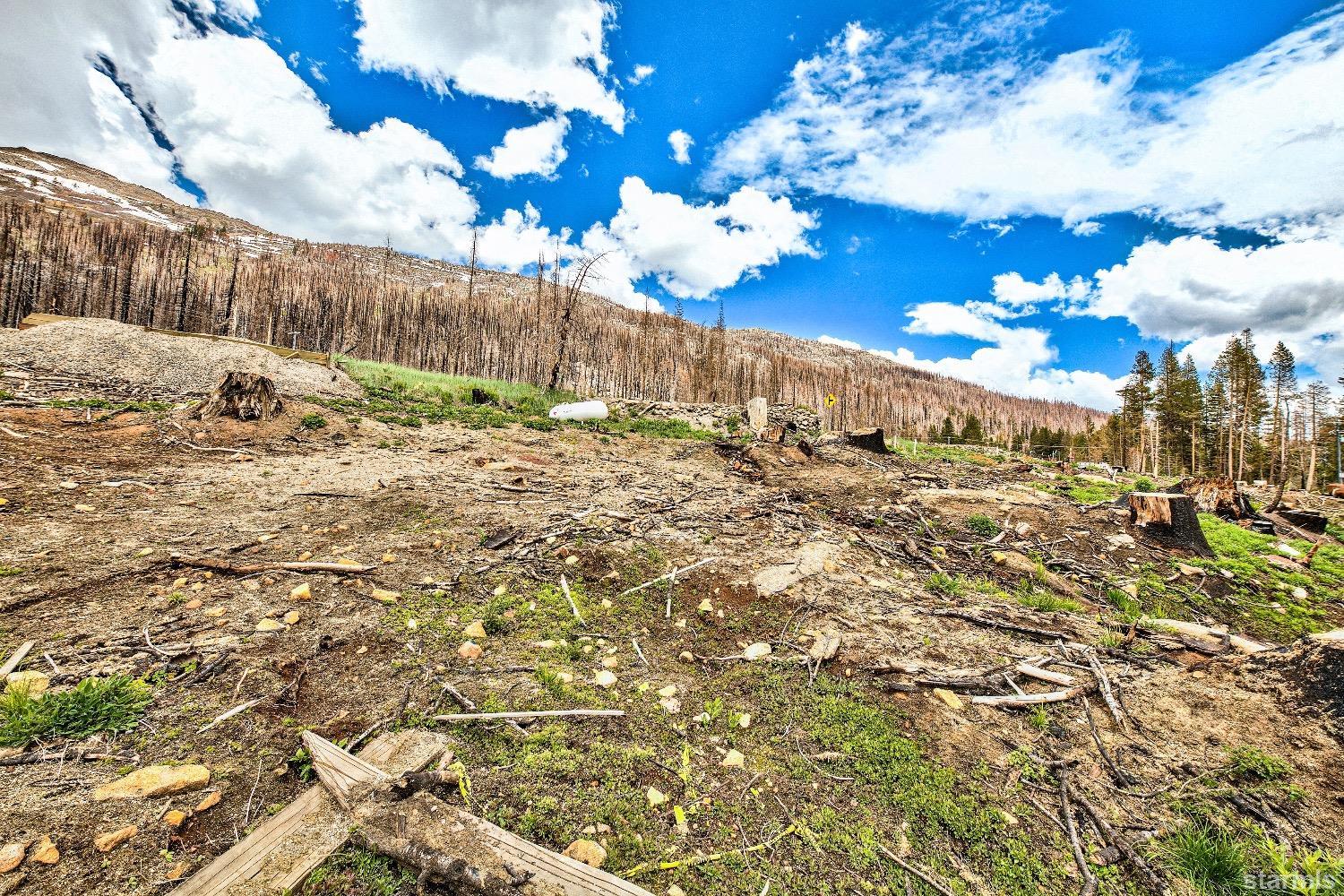 19852 Highway 50 Twin Bridges, CA 95735 - Photo 13 of 16 a view of a yard with an trees