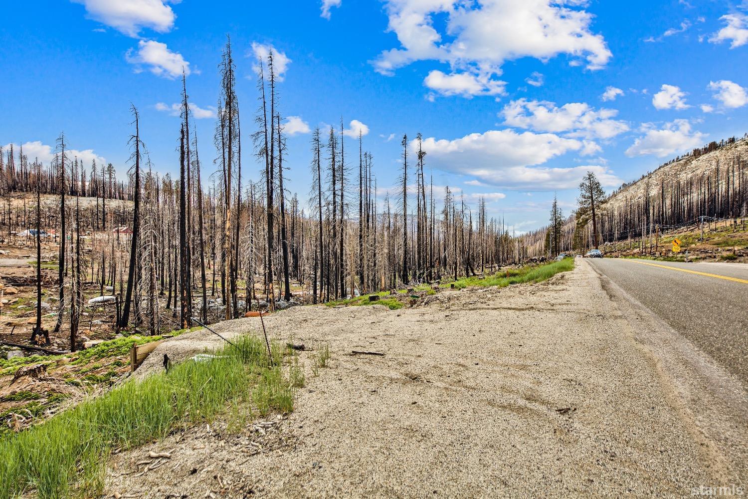 19852 Highway 50 Twin Bridges, CA 95735 - Photo 2 of 16 a row of trees with sign board