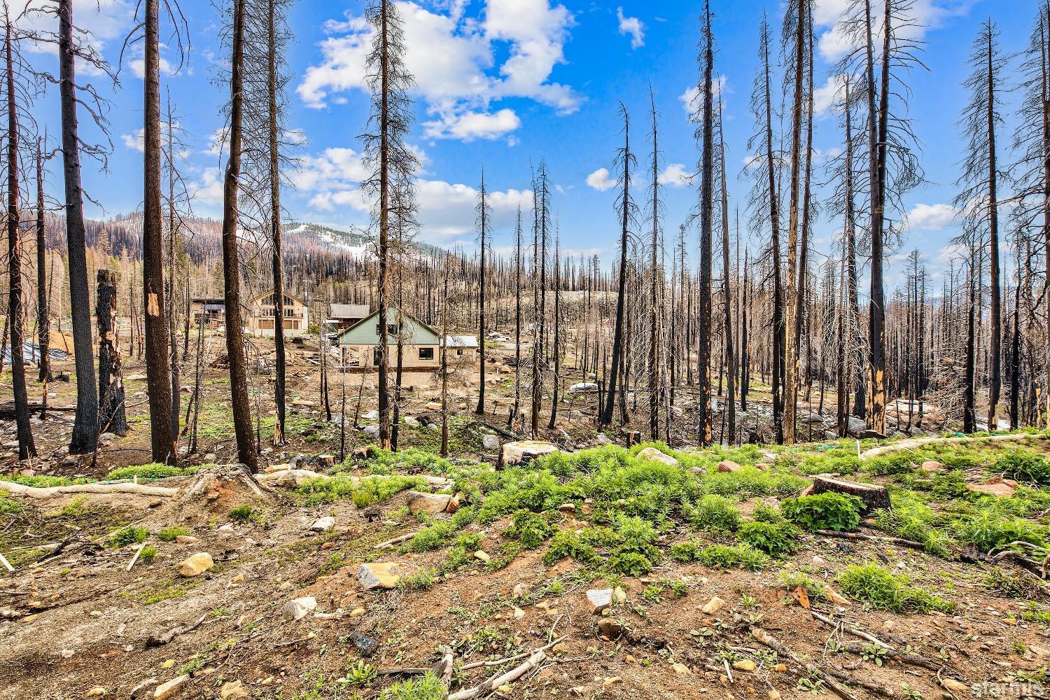 19852 Highway 50 Twin Bridges, CA 95735 - Photo 9 of 16