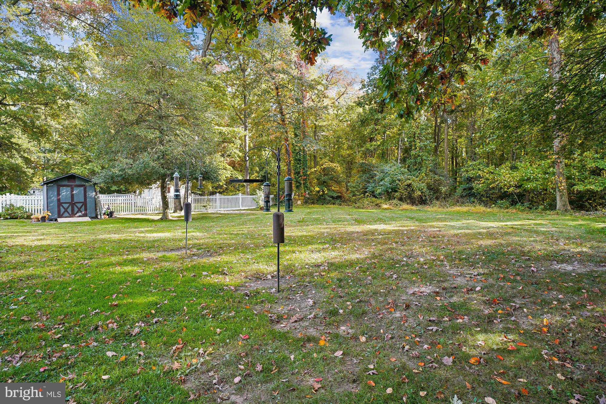 119 Kentmorr Road Stevensville, MD 21666 - Photo 13 of 25 a view of a tree in a yard