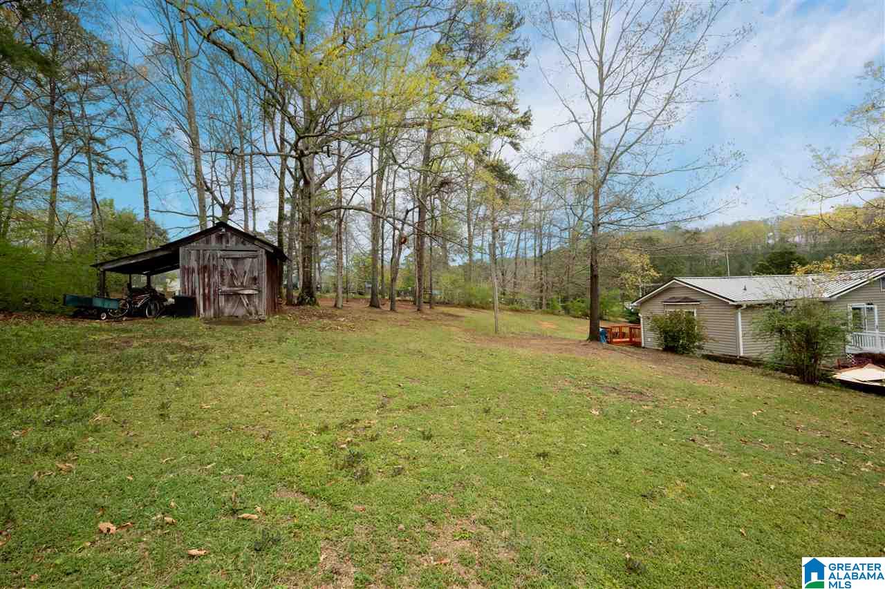 586 Village Springs Road Springville, AL 35146 - Photo 20 of 21