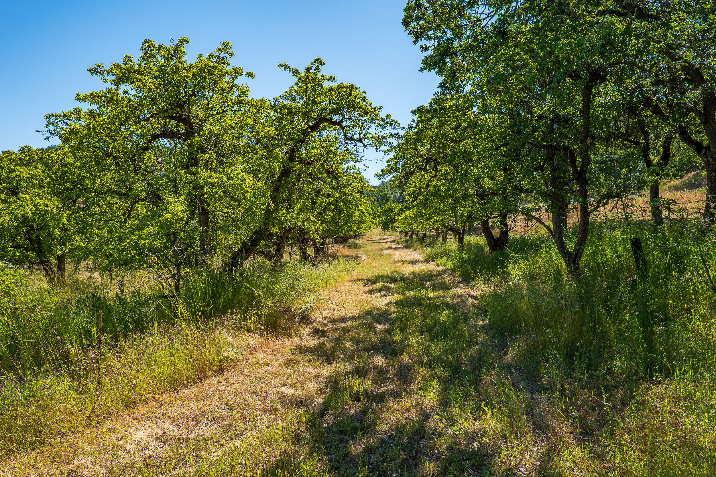 4Dark Hollow Farm