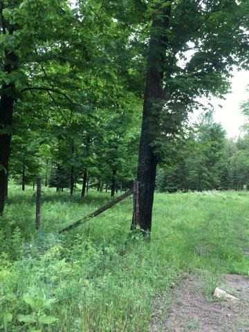 . Skerry Road North Bangor, NY 12966 - Photo 6 of 28 Gallery Image 6