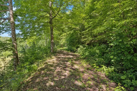 $375,500 | 1540 Centerville Highway, Hohenwald, TN 38462