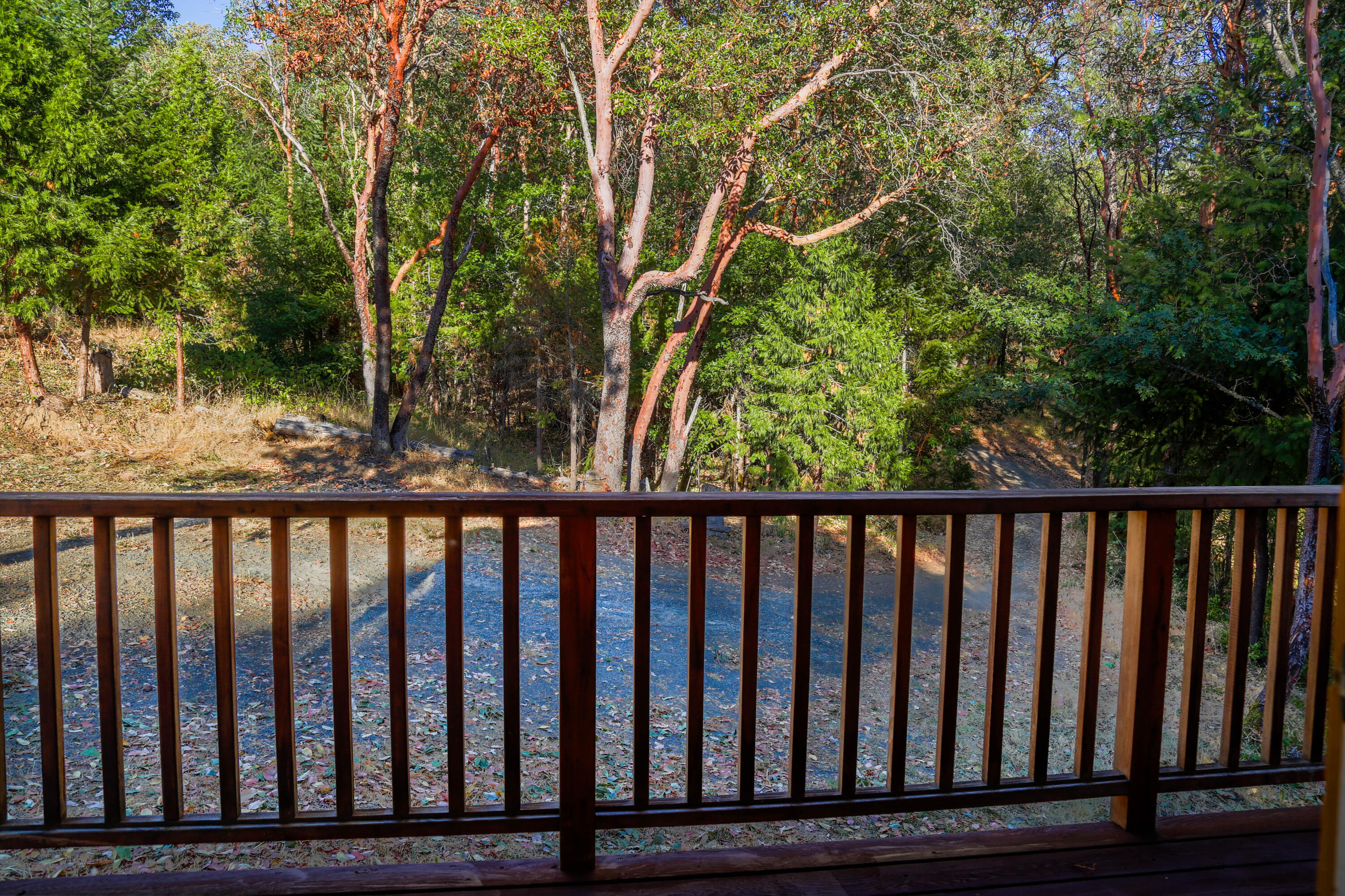 9629 Wagner Creek Road Talent, OR 97540 - Photo 29 of 40 Looking out from Cottage