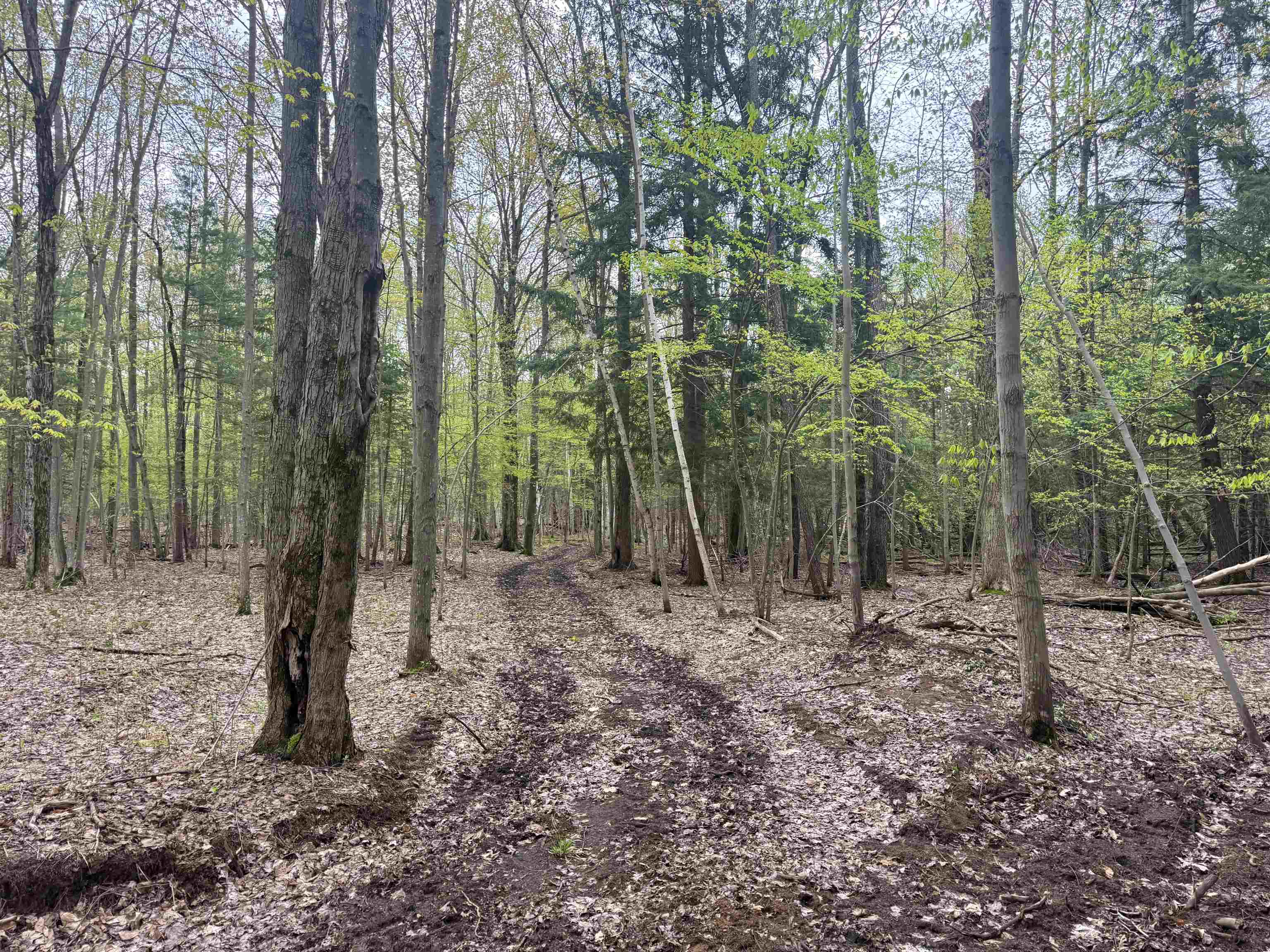 6639 Fall Road Grawn, MI 49637 - Photo 18 of 24