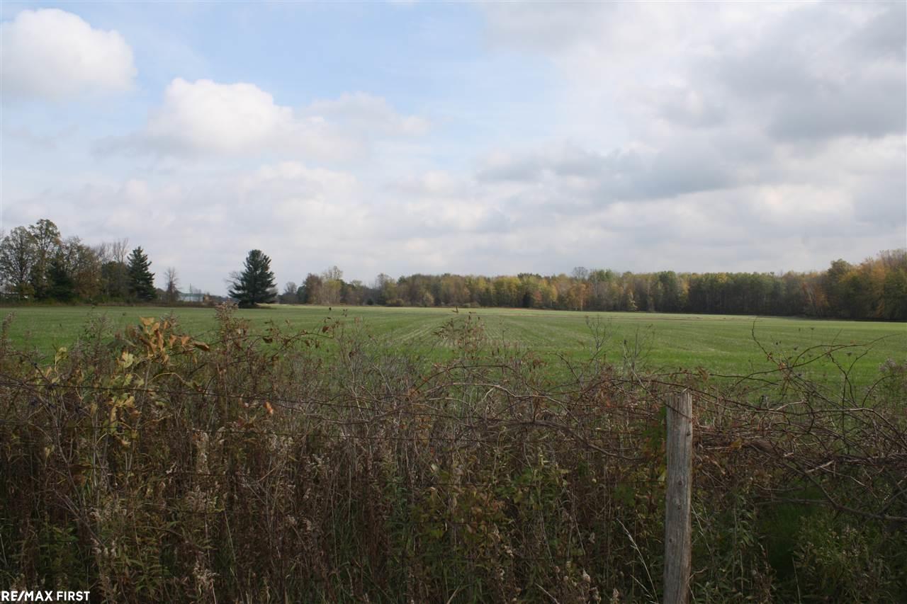 115 North Englehart Road Deford, MI 48729 - Photo 4 of 16