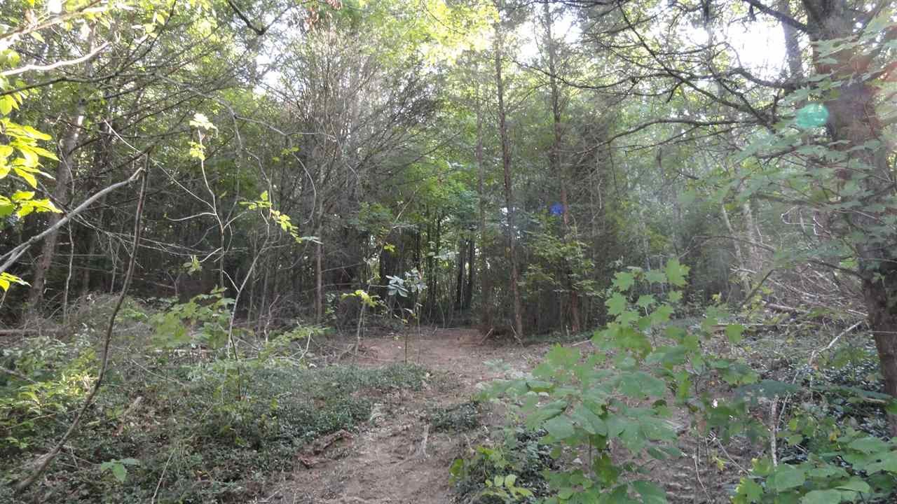 137 Daugherty Spring Road Tellico Plains, TN 37385 - Photo 20 of 24 Gallery Image 20