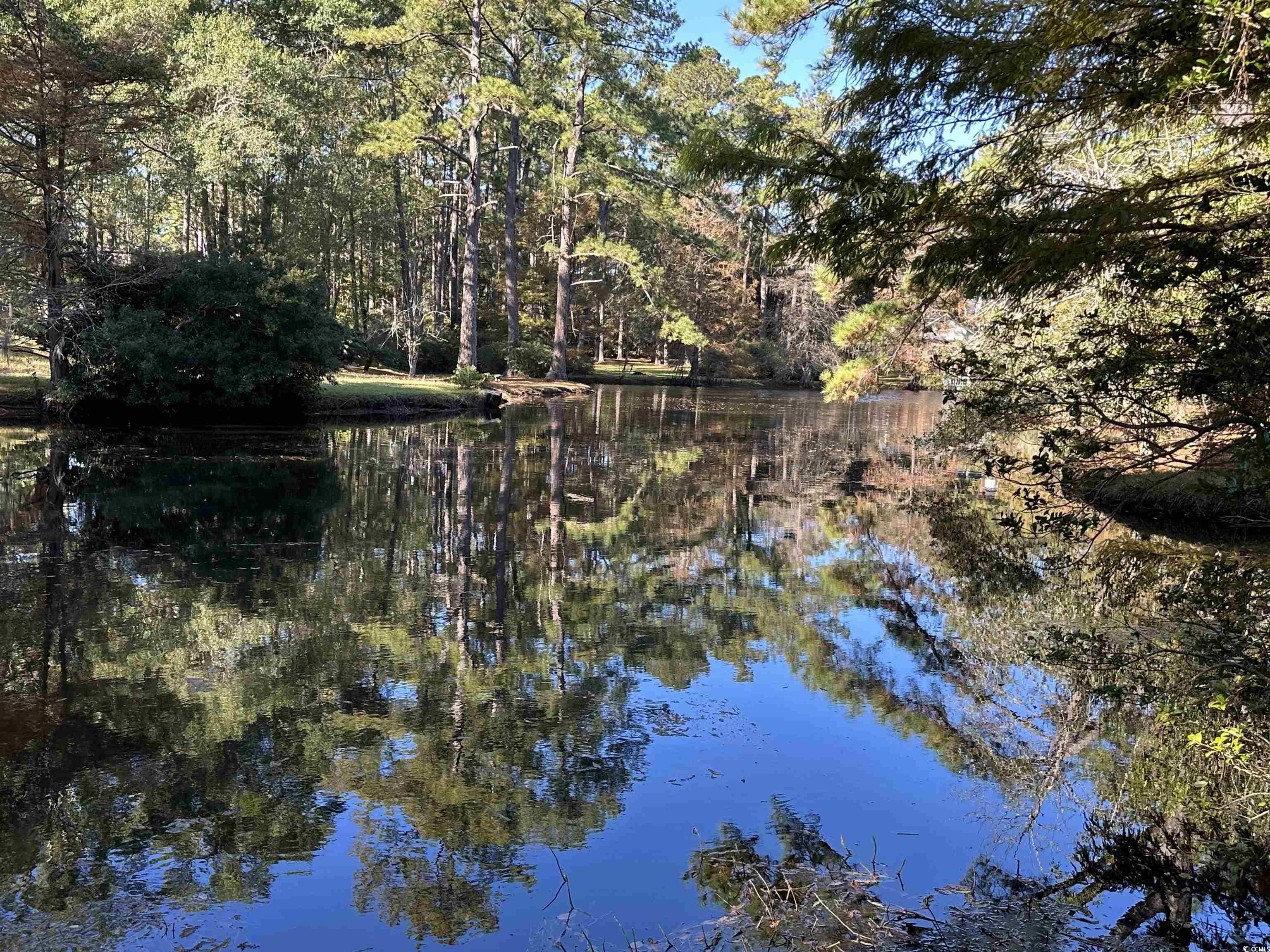 2840 Pennyroyal Road Georgetown, SC 29440 - Photo 15 of 36 Water view featuring a heavily wooded area