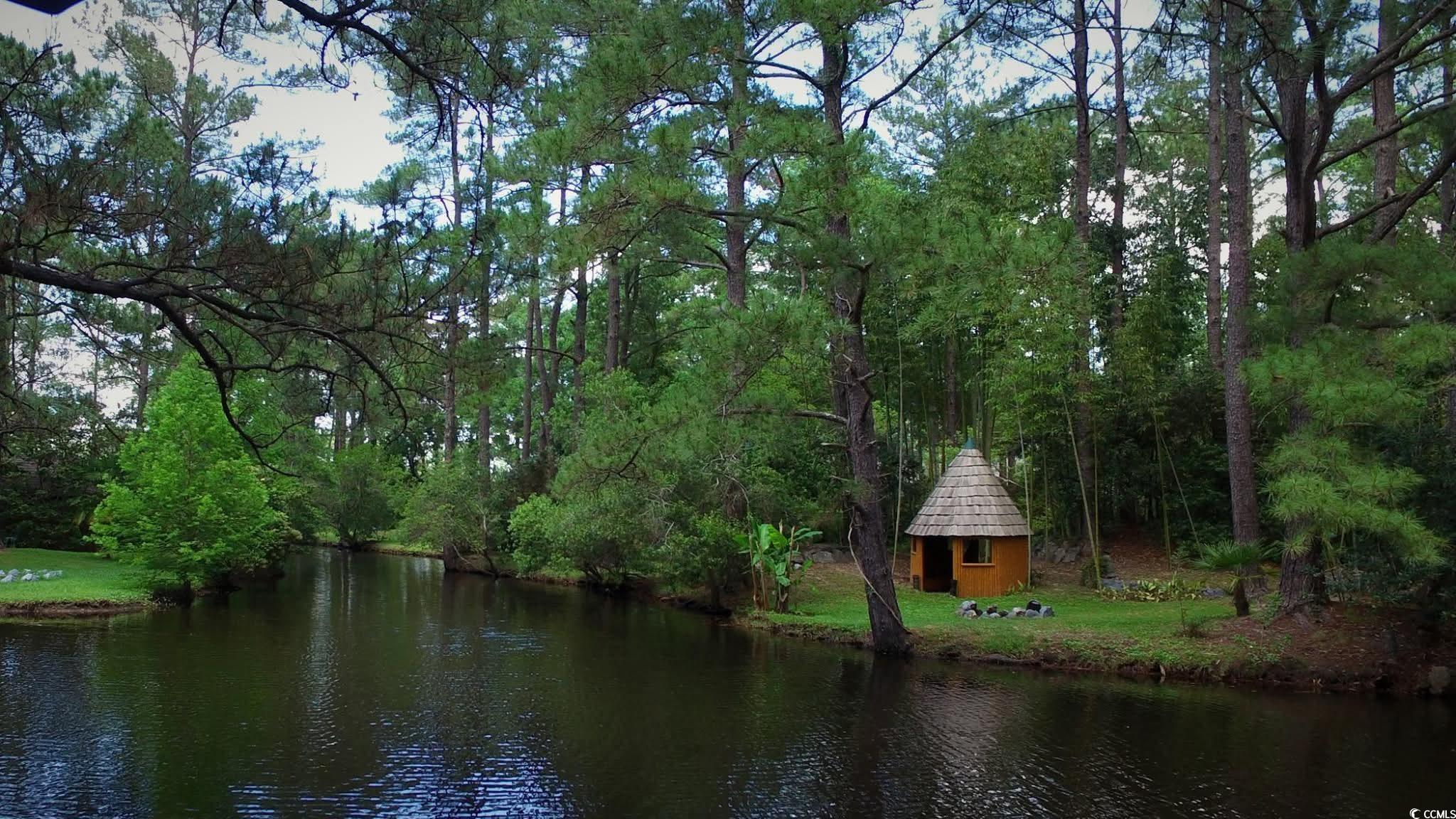 2840 Pennyroyal Road Georgetown, SC 29440 - Photo 6 of 36 Water view with a forest