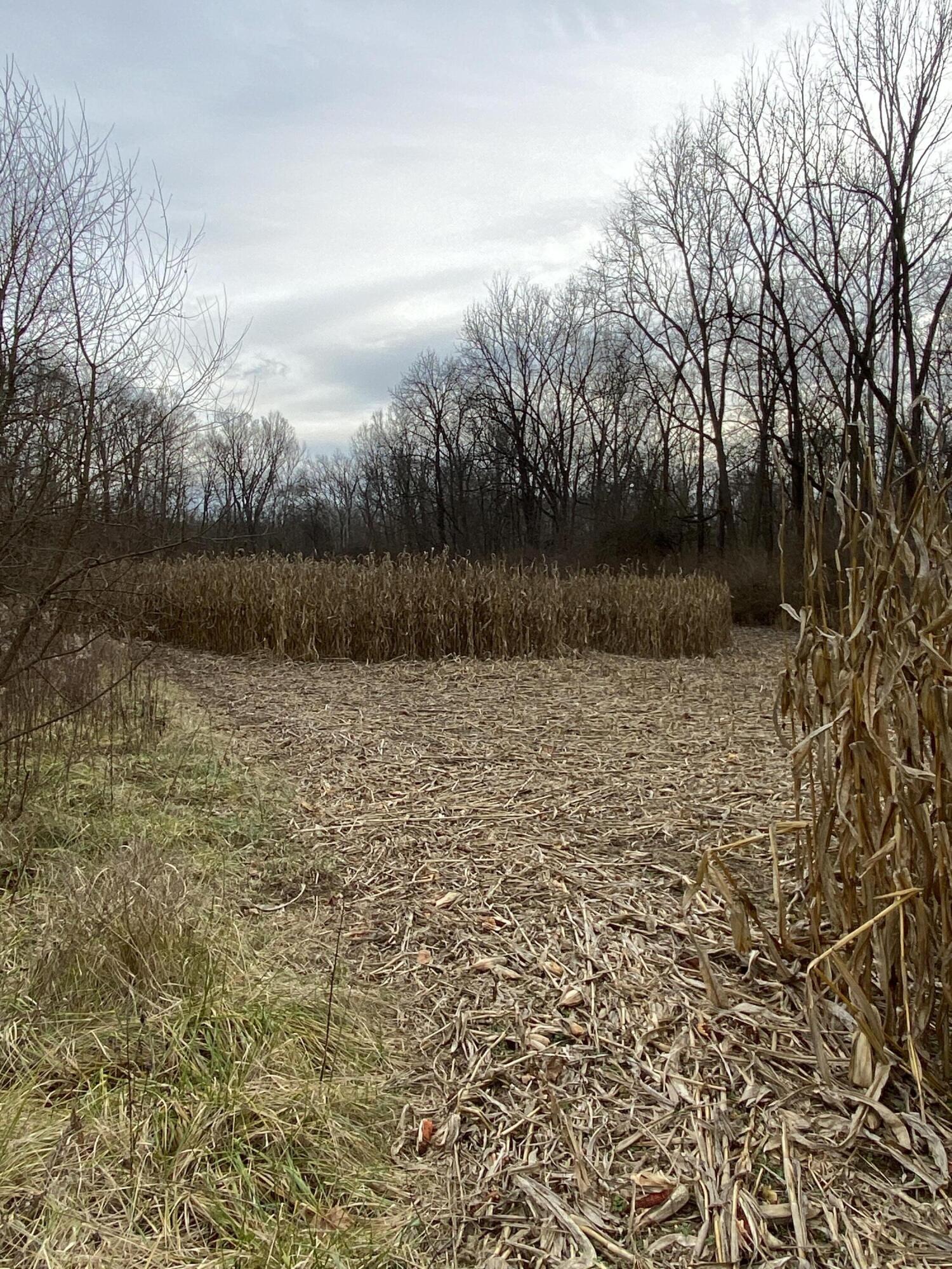 4010 Sharpsburg Road Eaton, OH 45320 - Photo 25 of 57 Gallery Image 25