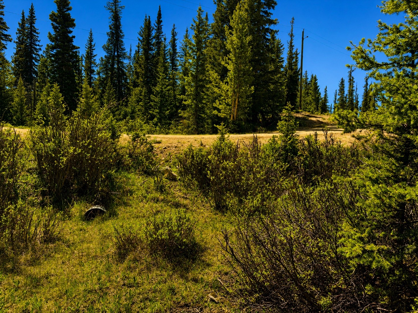 0 Guymard Road Fairplay, CO 80440 - Photo 22 of 24