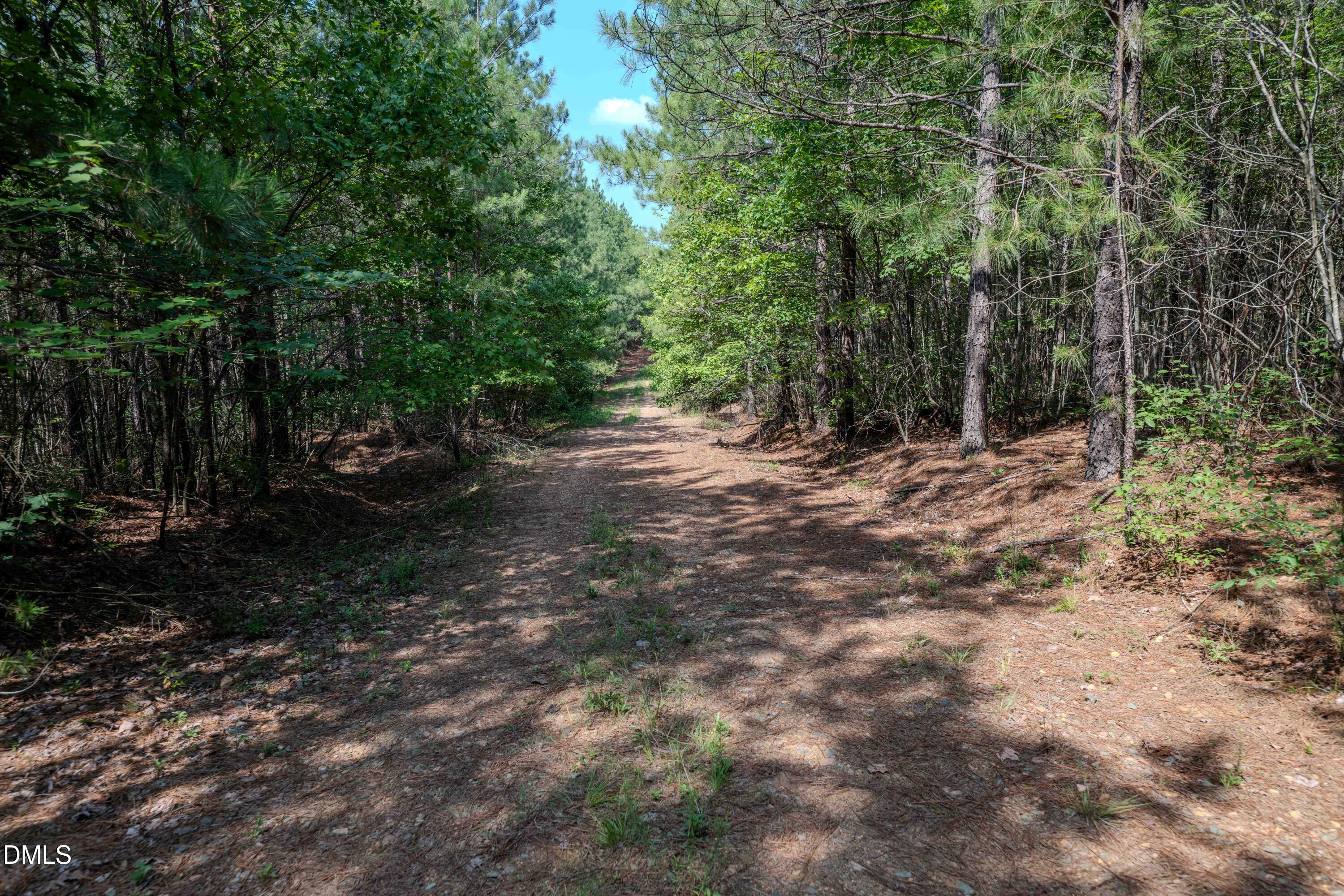 0 Haw Branch Road Sanford, NC 27330 - Photo 19 of 41 Chatham Lumber 77.2 Ground-8