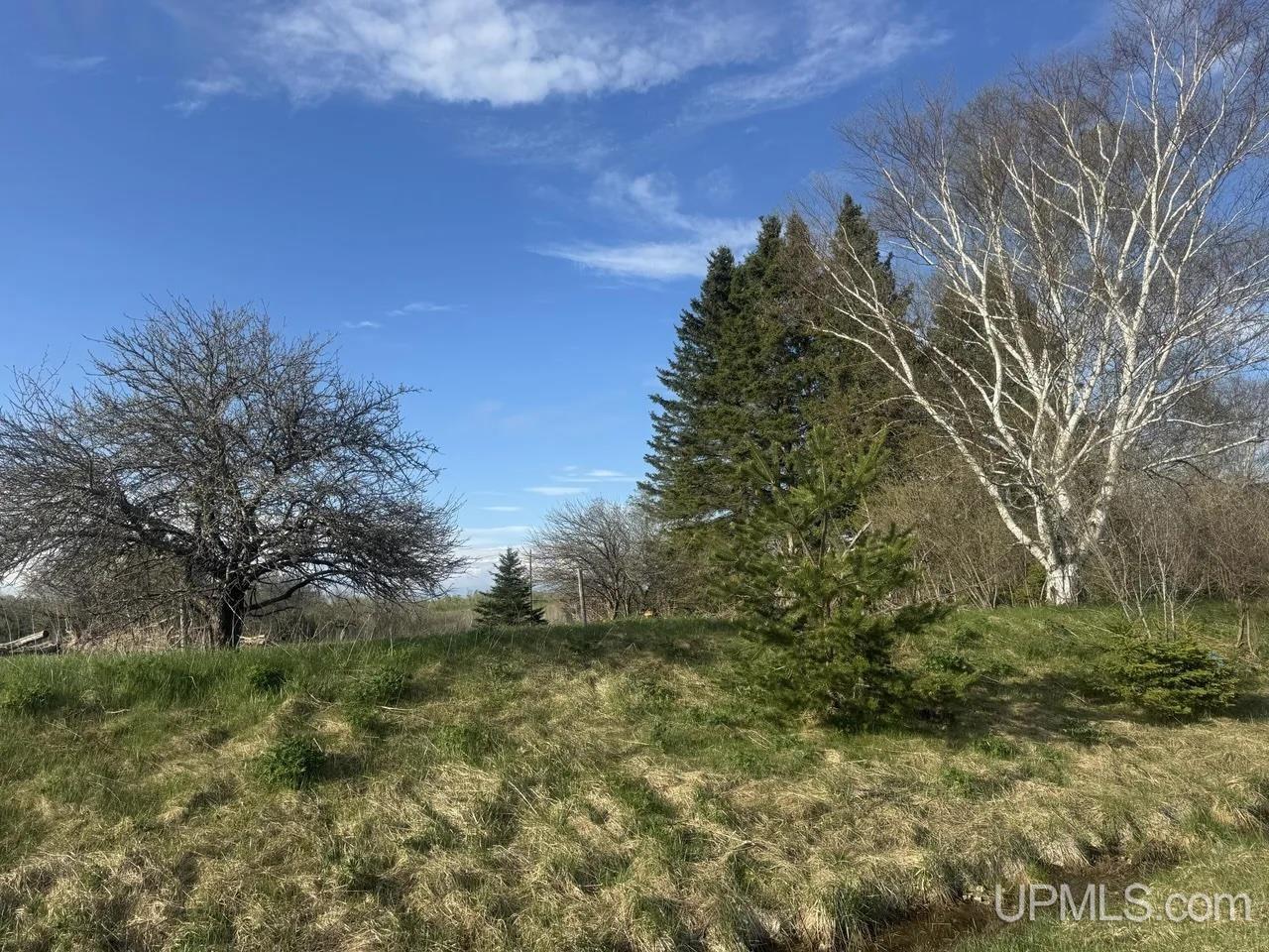 1210 River Road Germfask, MI 49836 - Photo 16 of 20 Gallery Image 16