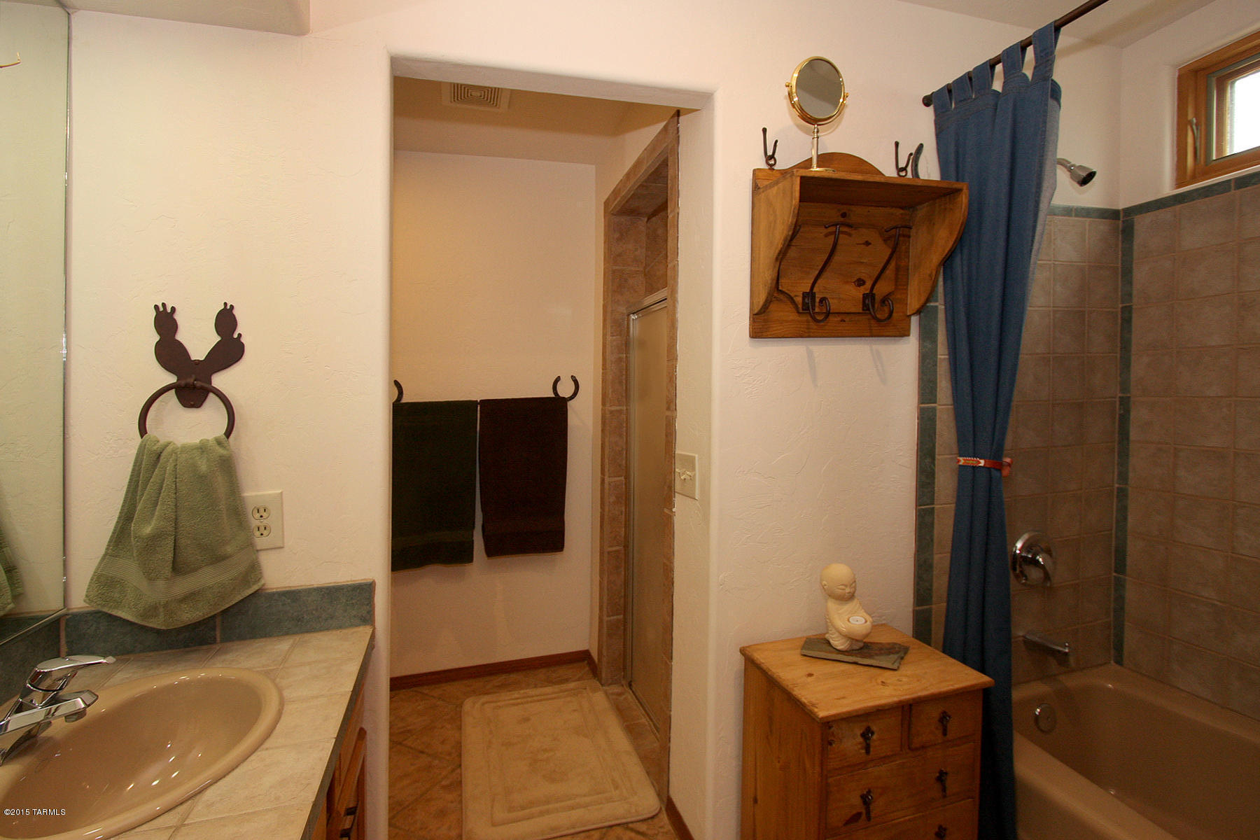 9780 East Ocotillo Rim Trail Vail, AZ 85641 - Photo 19 of 48 Master Bath