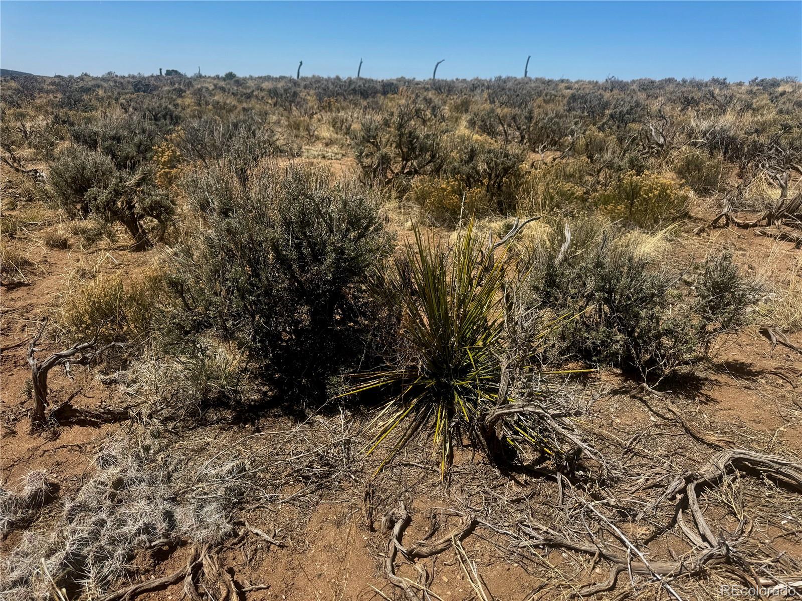 Lot 6976 Trinchera Ranch Road Fort Garland, CO 81133 - Photo 16 of 28 Gallery Image 16