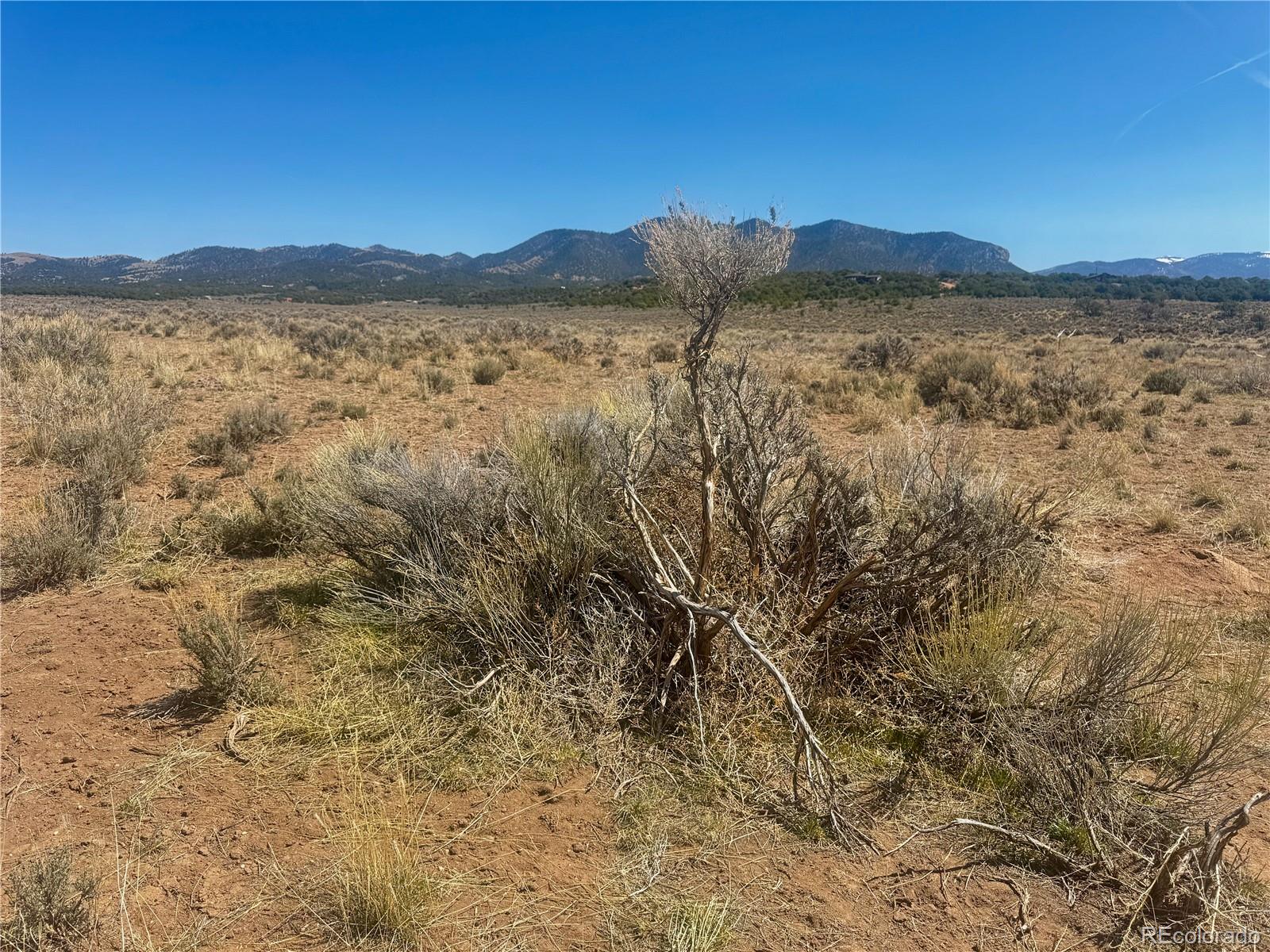 Lot 6976 Trinchera Ranch Road Fort Garland, CO 81133 - Photo 19 of 28 Gallery Image 19