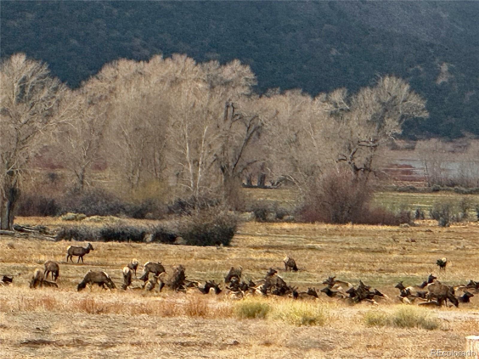 Lot 6976 Trinchera Ranch Road Fort Garland, CO 81133 - Photo 2 of 28 Gallery Image 2