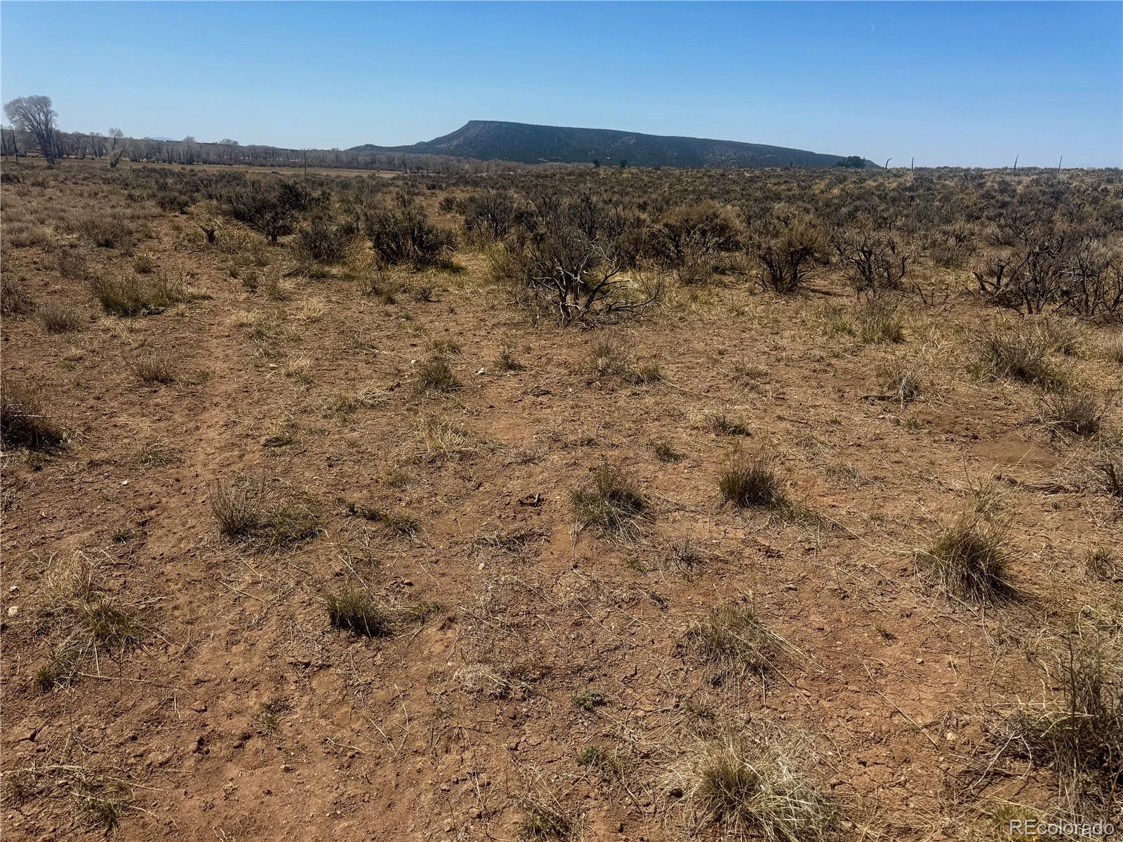 Lot 6976 Trinchera Ranch Road Fort Garland, CO 81133 - Photo 25 of 28 Gallery Image 25