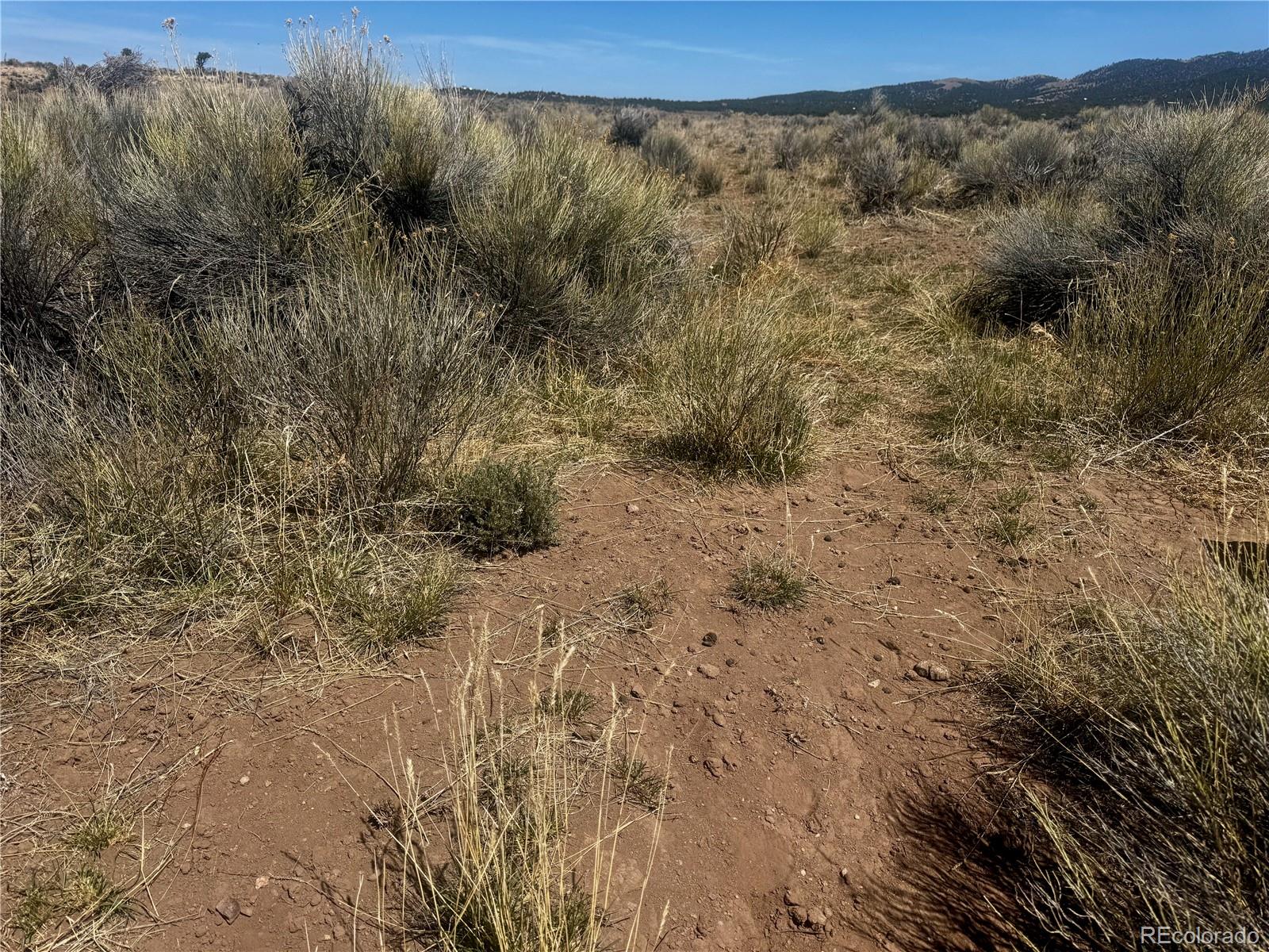 Lot 6976 Trinchera Ranch Road Fort Garland, CO 81133 - Photo 5 of 28 Gallery Image 5