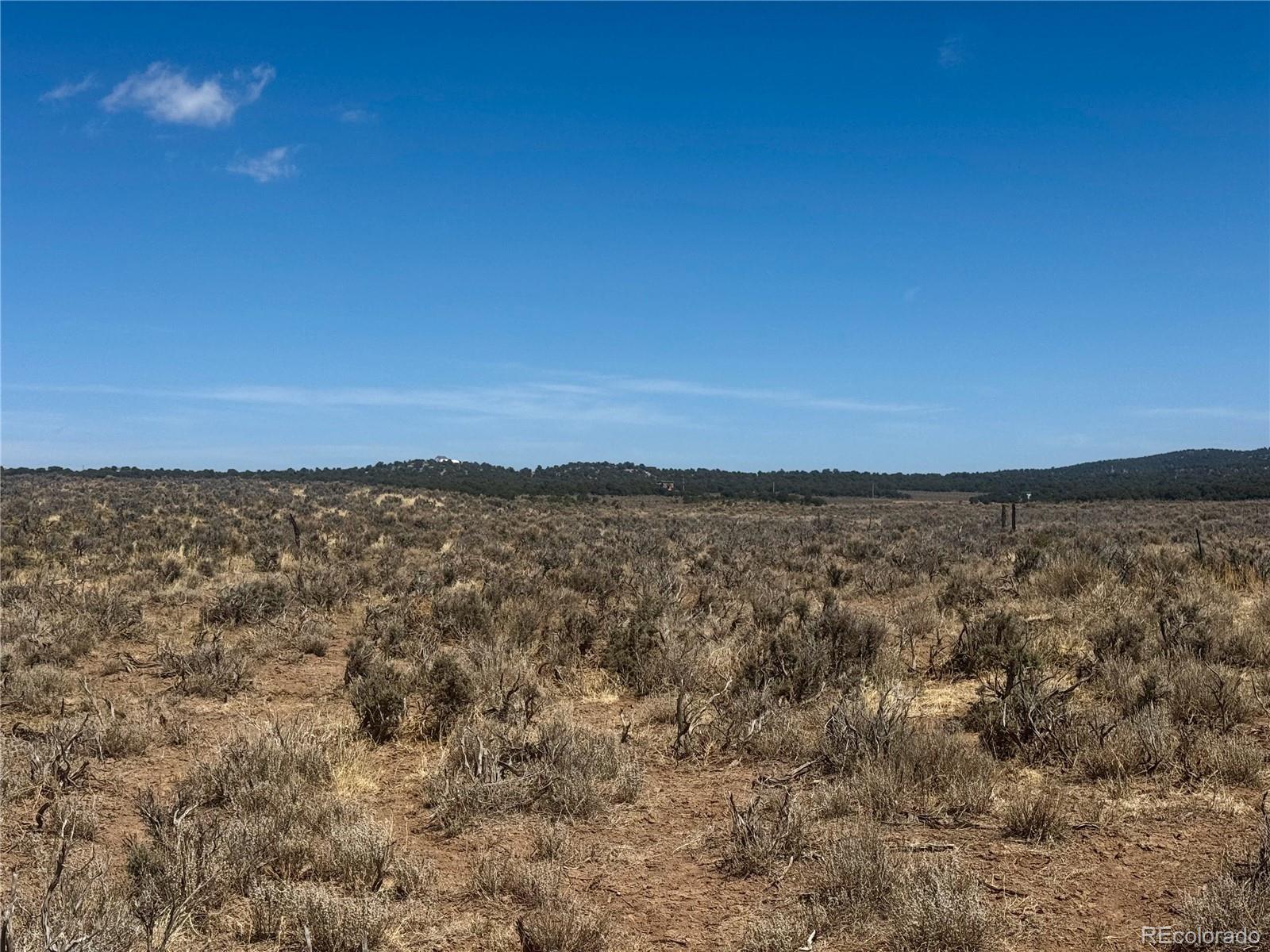 Lot 6976 Trinchera Ranch Road Fort Garland, CO 81133 - Photo 6 of 28 Gallery Image 6