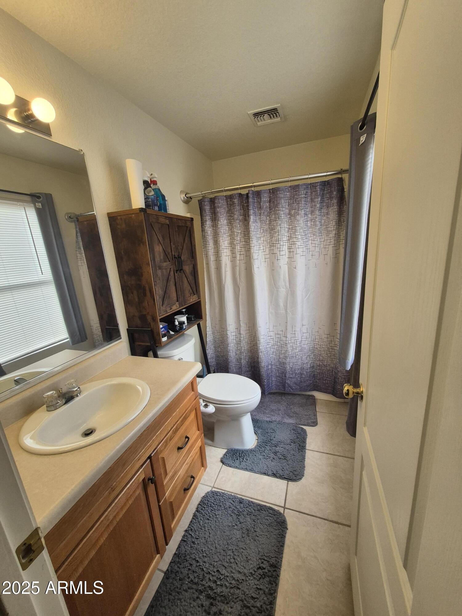 3436 South Chaparral Road Apache Junction, AZ 85119 - Photo 15 of 28 a bathroom with a sink toilet and shower