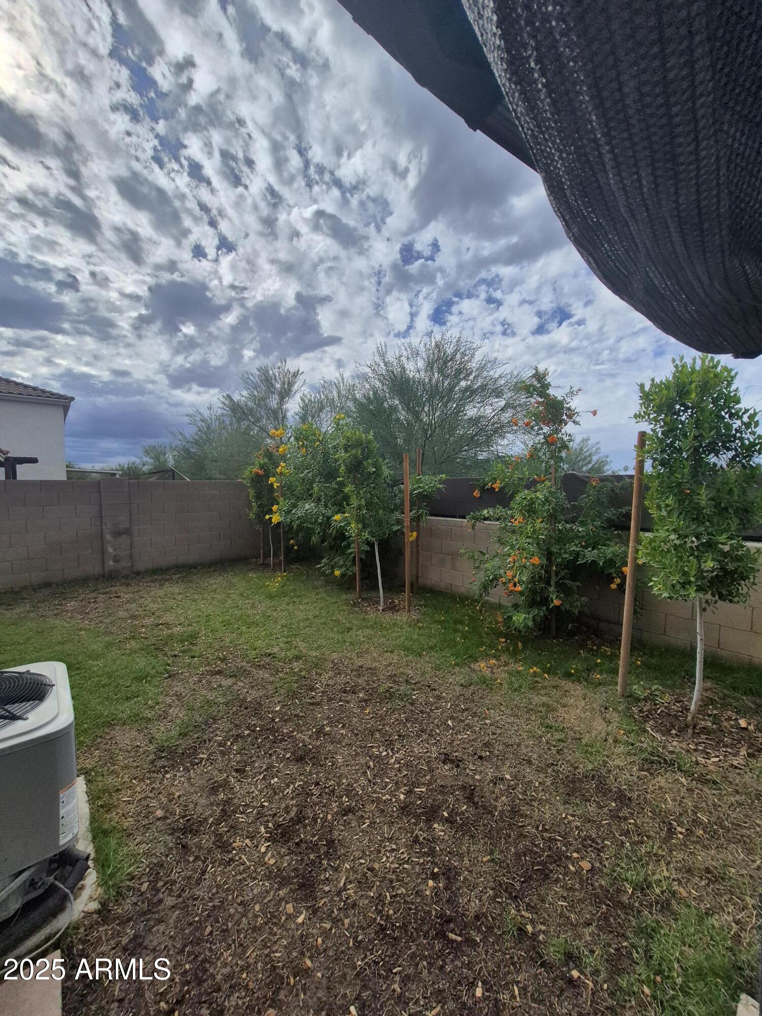 3436 South Chaparral Road Apache Junction, AZ 85119 - Photo 21 of 28 a view of a backyard with plants and large trees
