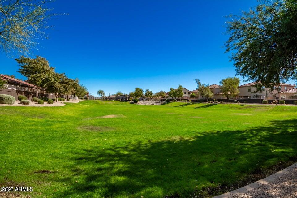 3436 South Chaparral Road Apache Junction, AZ 85119 - Photo 26 of 28 a view of yard with an trees