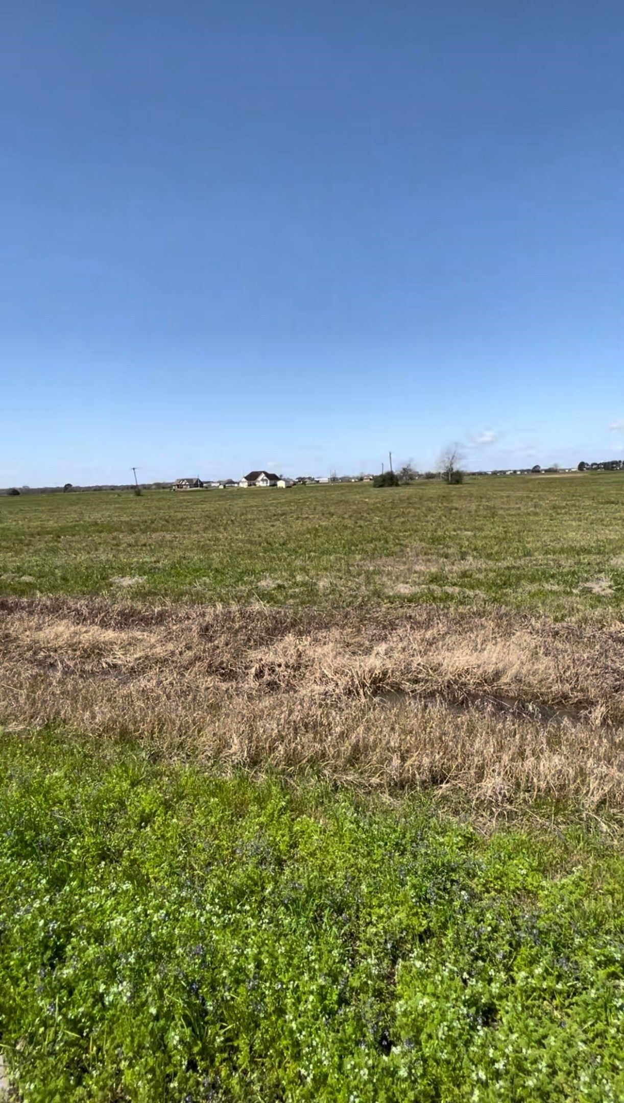 0 Fm 521 Road Angleton, TX 77515 - Photo 3 of 4 a view of an ocean