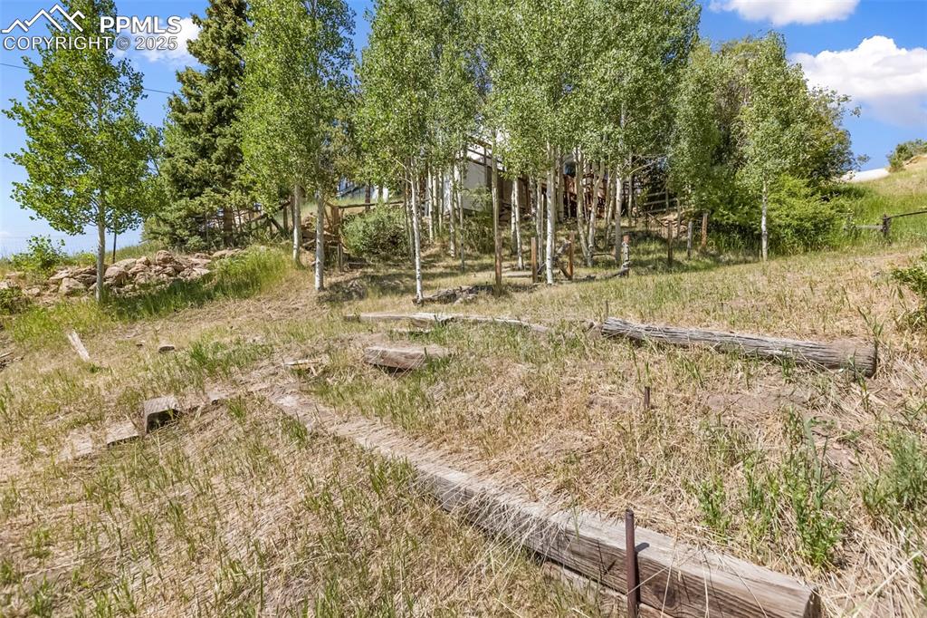 210 7th Street Victor, CO 80860 - Photo 37 of 38 a view of yard with trees