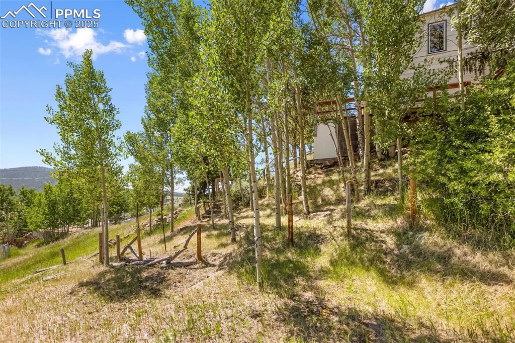 210 7th Street Victor, CO 80860 - Photo 38 of 38 a view of yard from a city