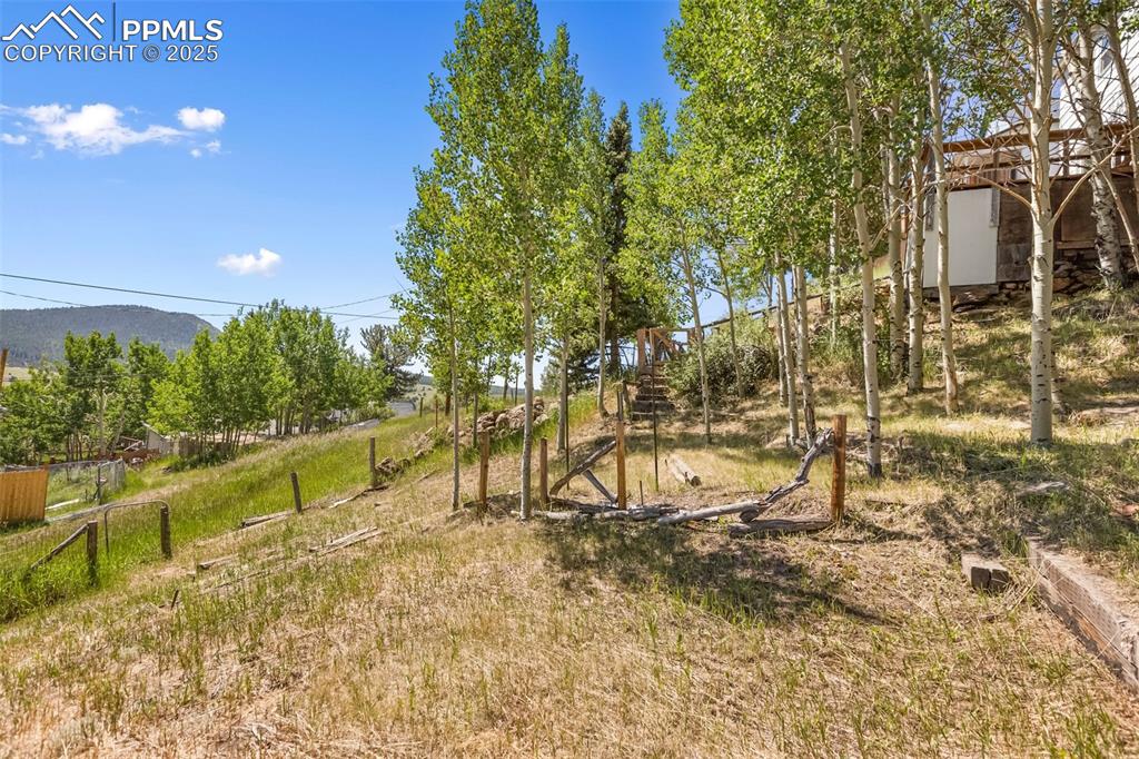 210 7th Street Victor, CO 80860 - Photo 7 of 38 a view of swimming pool with a patio