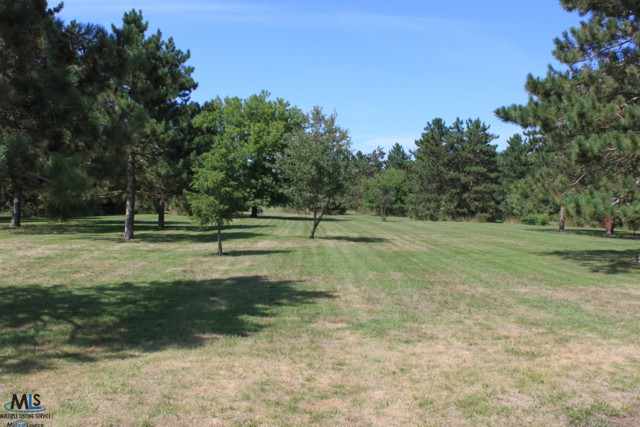 6586 Kilburn Road Jeddo, MI 48032 - Photo 19 of 21 This is view 3 of the yard.