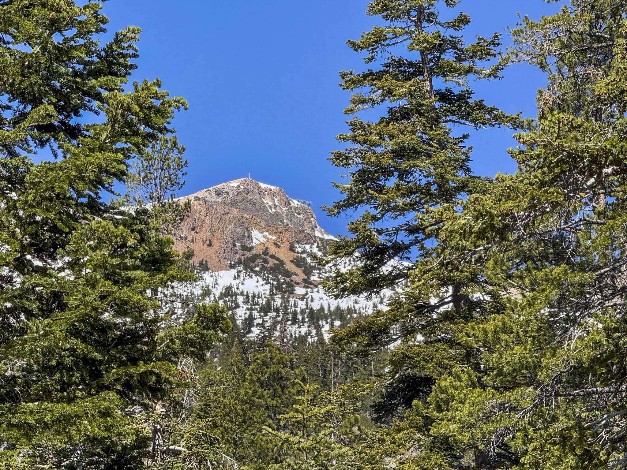 2570 Old Mammoth Road Mammoth Lakes, CA 93546 - Photo 28 of 39 Mountain landscape featuring snow-dusted peaks and evergreen trees under a clear blue sky